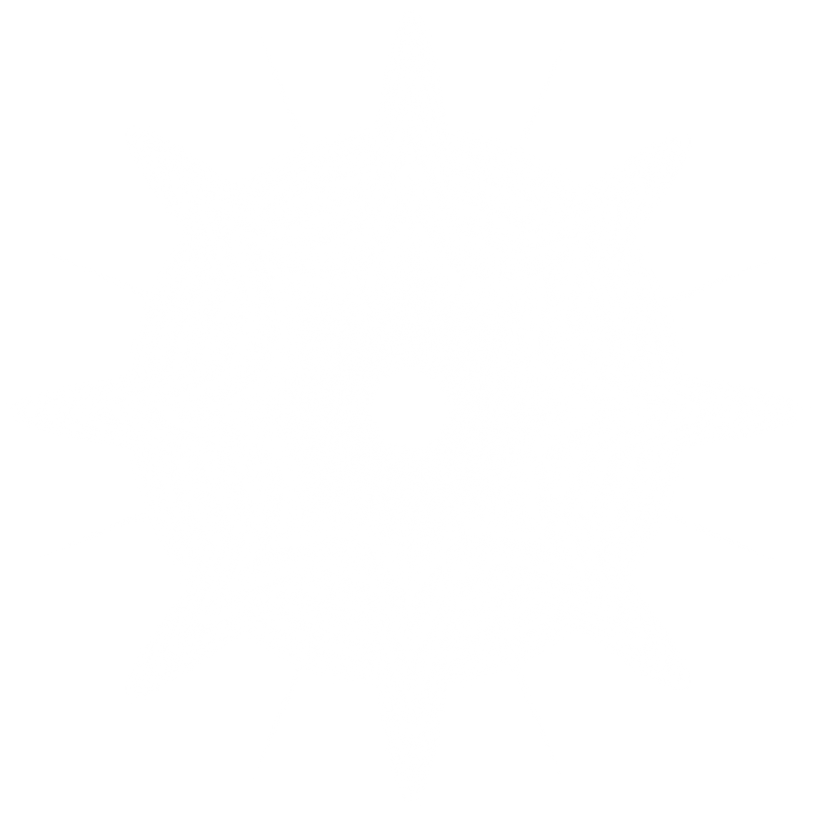 White sparkles and lens flare light